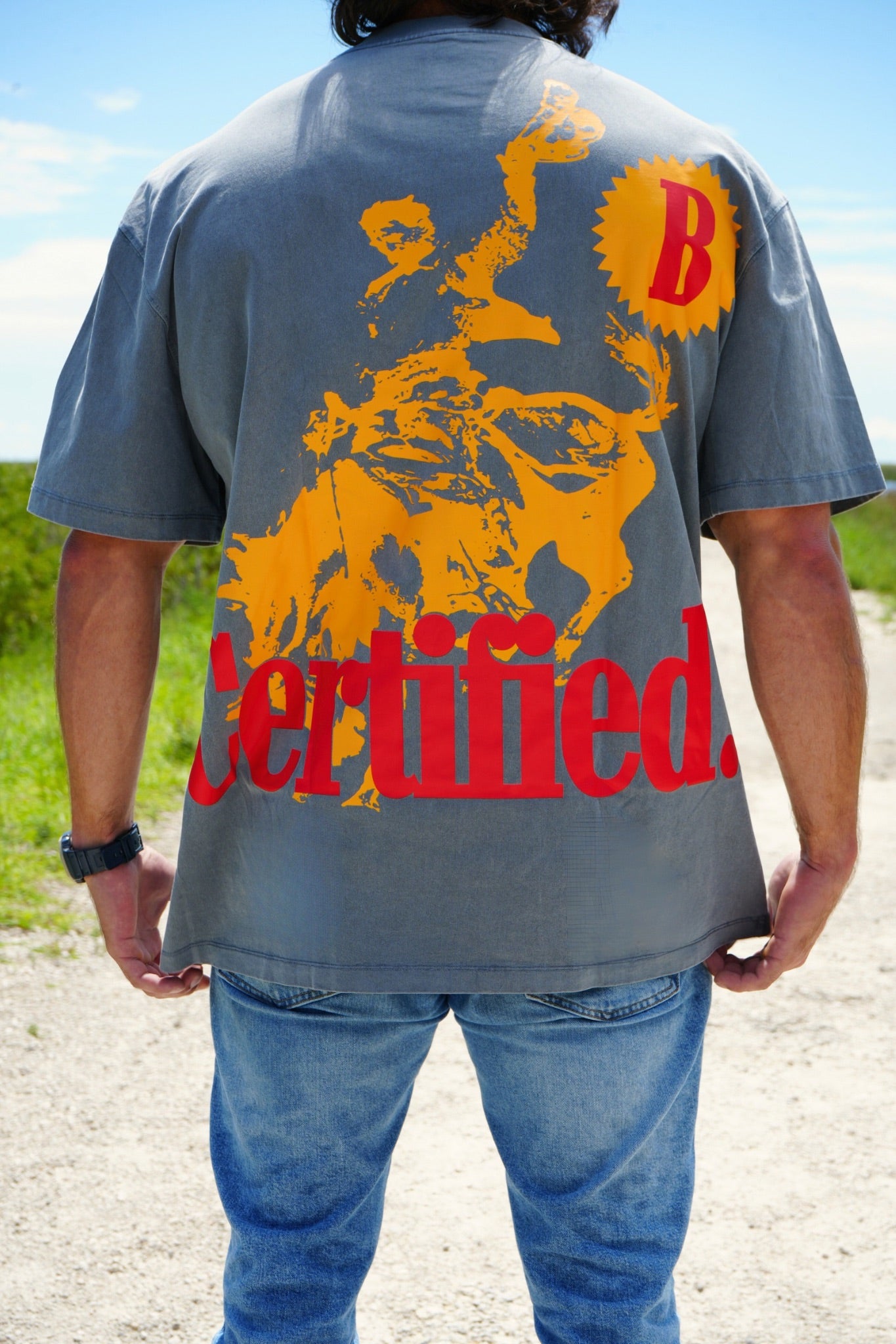 CLB Grey Rodeo Pump Cover